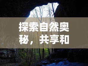 探索自然奥秘，共享和谐家园：鼹鼠同行之森林之家官方版揭秘森林生态环境的丰富多样性与可持续发展之道