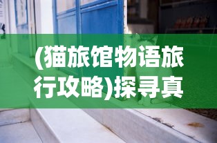 玩家亲测炎黄大陆手游：详实评价剖析游戏特色及亮点，探讨其在手游市场的长久生存可能性