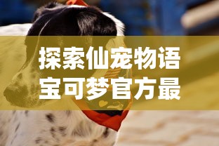 探索仙宠物语宝可梦官方最新公布：面向全球的挑战赛事与神秘新品种宠物吸引众多粉丝关注