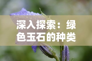 重现古代生活的韵味，'古代收租日记'折相思免广告版本——揭示现代社会矛盾与人性冲突