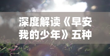 (异度之刃 圣域王冠)探秘异度王冠S级最强英雄：揭秘他的实力与背后故事