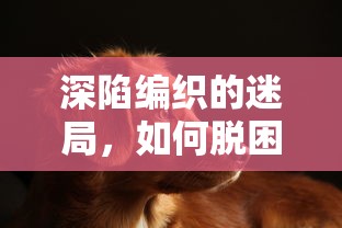 深陷编织的迷局，如何脱困？——专家深度剖析与宠物共享的人生攻略