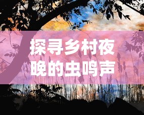 探寻乡村夜晚的虫鸣声：描绘农村生态环境中的自然生物音景的引人入胜之处