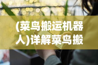 (菜鸟搬运机器人)详解菜鸟搬运工app:一款提升搬运服务效率与质量的革命性工具