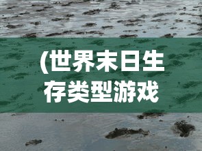 天穹帝尊雨暮浮屠：探寻神秘古刹，解析历史传说中的佛教义理与人文风情