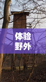 体验野外生存的极致：探究丛林猎人350带领下探秘未知森林的勇者之旅