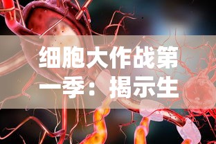 细胞大作战第一季：揭示生命奥秘，带你深度了解人体免疫系统运作机制