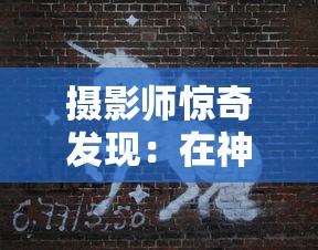 摄影师惊奇发现：在神秘森林中拍到真正的独角兽，证实神话传说中的神秘生物真实存在