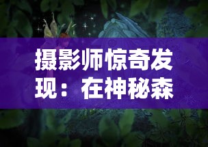 勇者法则：如何合理分配雇佣兵的加点与选择适合的武器，提升战斗力的全面指南