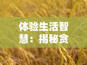 战斗吧勇者下：勇士集结，冲锋陷阵，无惧敌人，捍卫家园，保卫和平世界