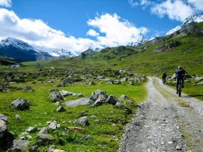 (山地车租赁app)探索城市山地风光，专业山地车出租服务助您畅享骑行乐趣