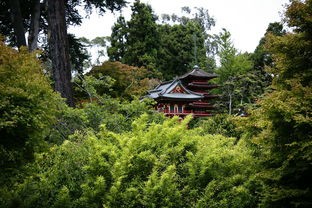 (解忧小村落布局图推荐)解忧小村落布局图，一个和谐共生的生态社区