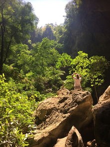 (格莉斯的旅程)格莉丝的旅程，一场无需付款的探险之旅