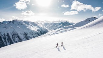 (问山海修仙攻略)问山海攻略汇总，探索神秘山川的旅行指南